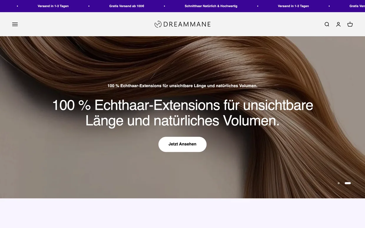 Dreammane, Ansicht am Rechner